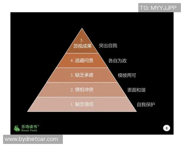 杭州足球队在世界杯中的团队协作表现分析与评价
