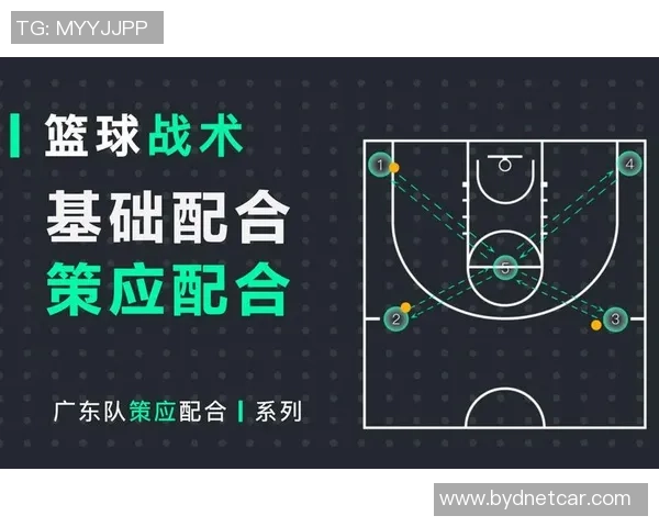 南京篮球队进攻体系解析：战术布局与球员配合的完美结合